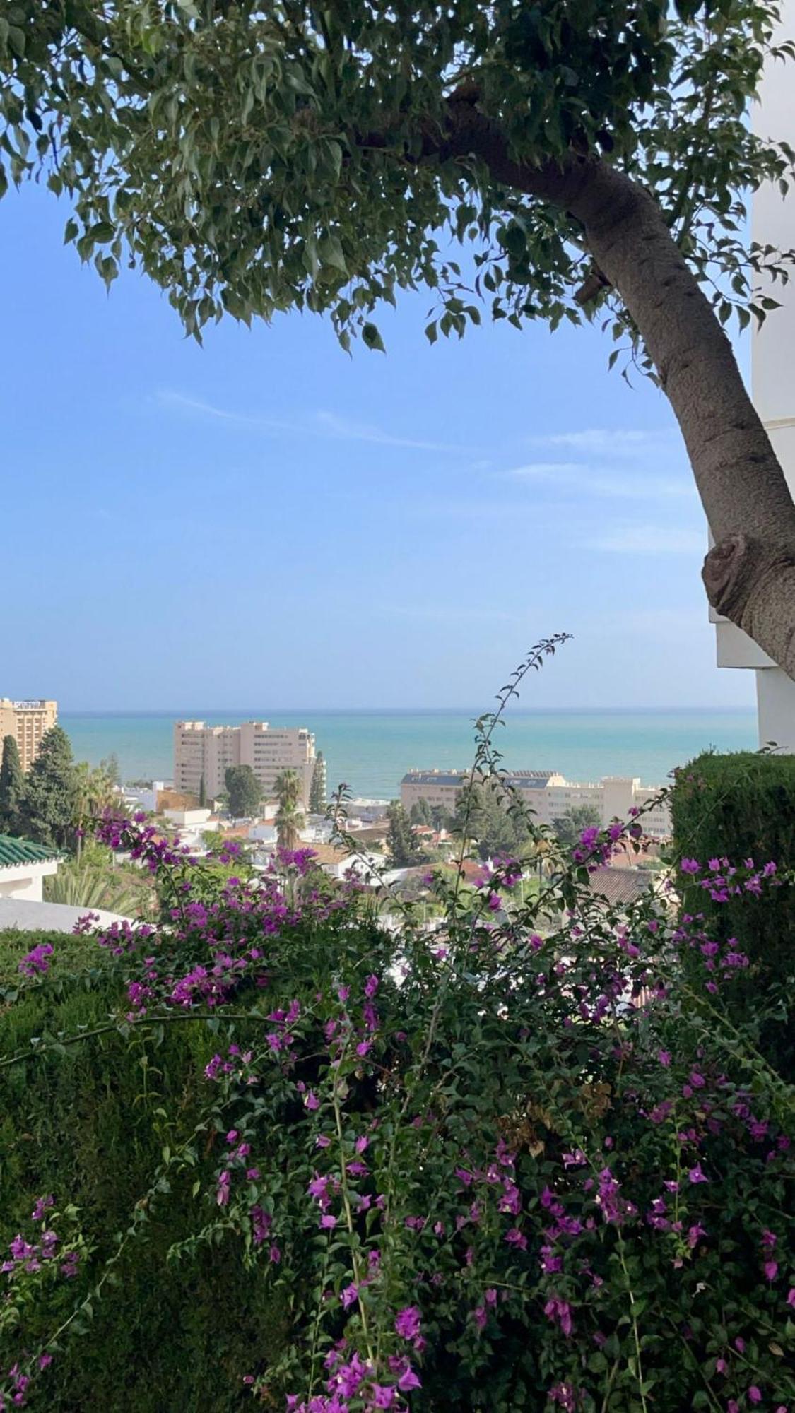 Sun Castle Apartamento